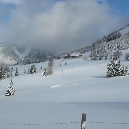 Chalet Wooden In Styria With Sauna Hohentauern