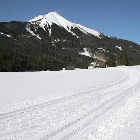 Chalet Wooden In Styria With Sauna Hohentauern