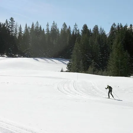 Chalet Wooden In Styria With Sauna Hohentauern
