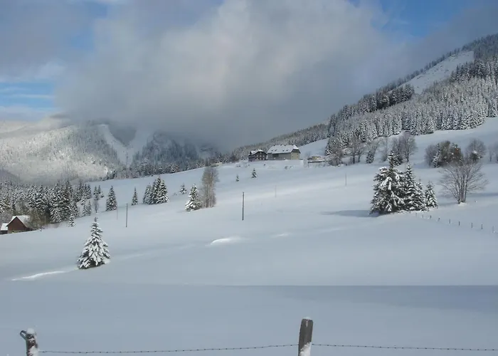 Chalet Wooden In Styria With Sauna Hohentauern